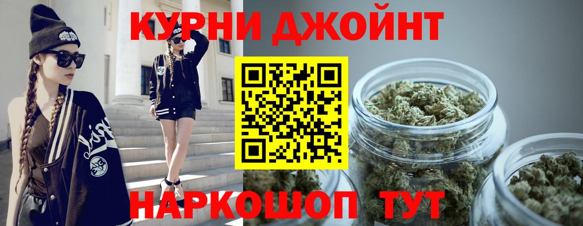 Канабис сатива Подольск